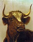 Head of a Bull by Rosa Bonheur